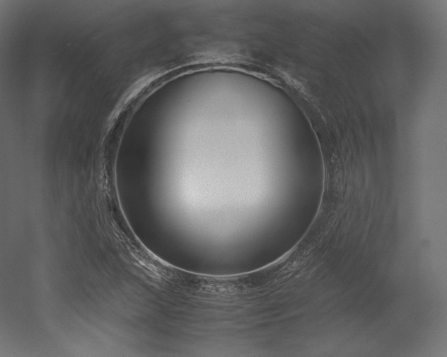 X0000052651215200507011403