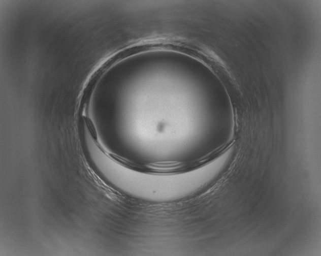 X0000052651216200507011403