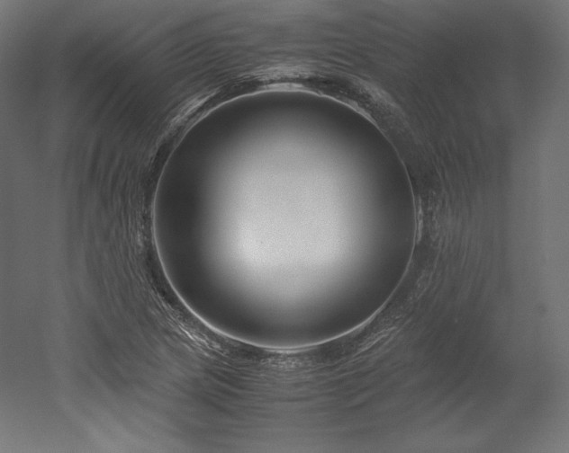 X0000052651217200507011403