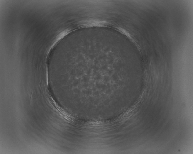 X0000052651219200507011404