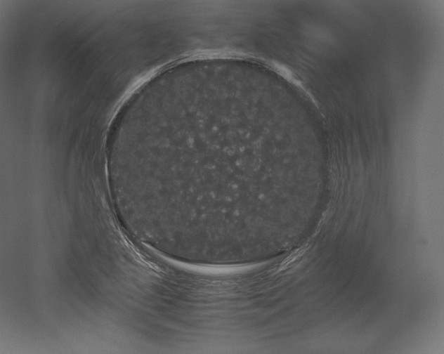 X0000052651221200507011404