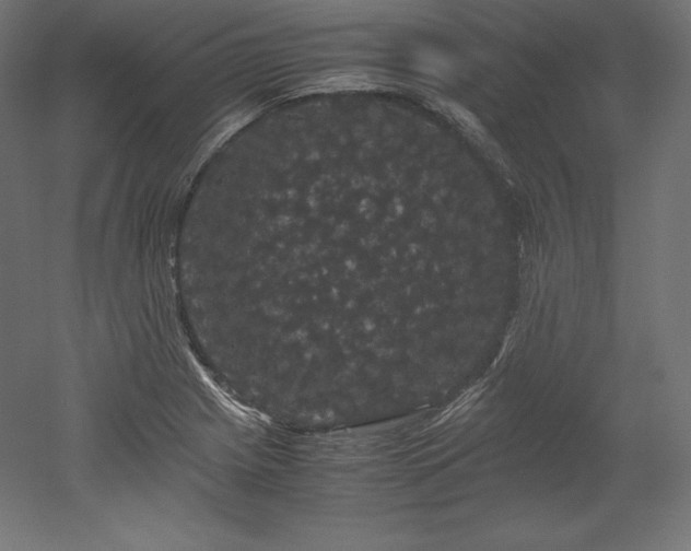X0000052651225200507011404