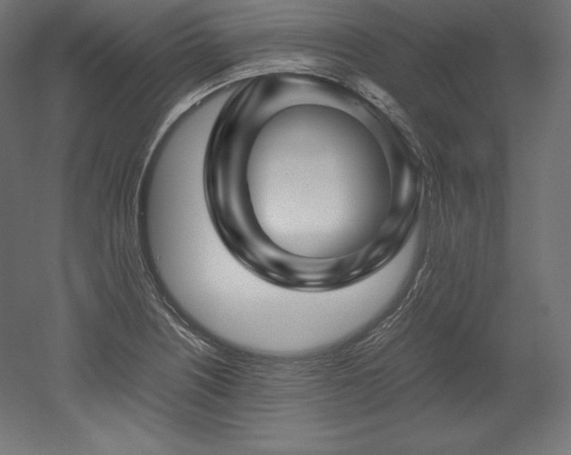 X0000052651226200507011404