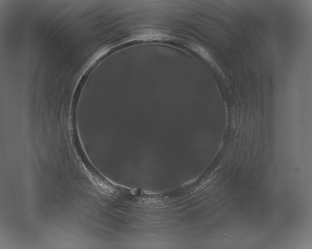 X0000052651229200507011404