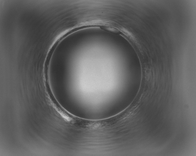 X0000052651230200507011404
