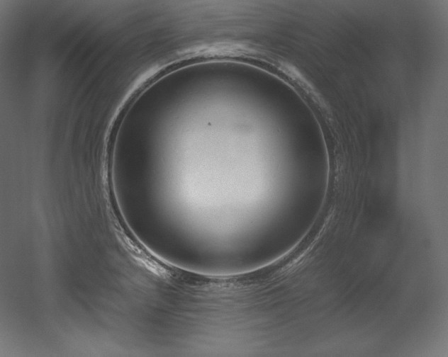 X0000052651232200507011404