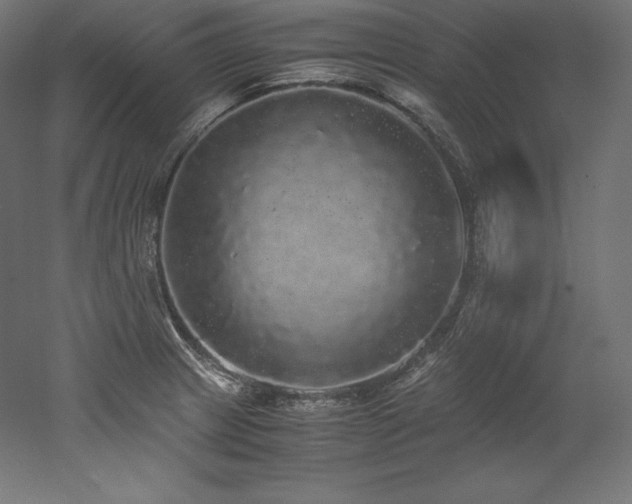 X0000052651233200507011404