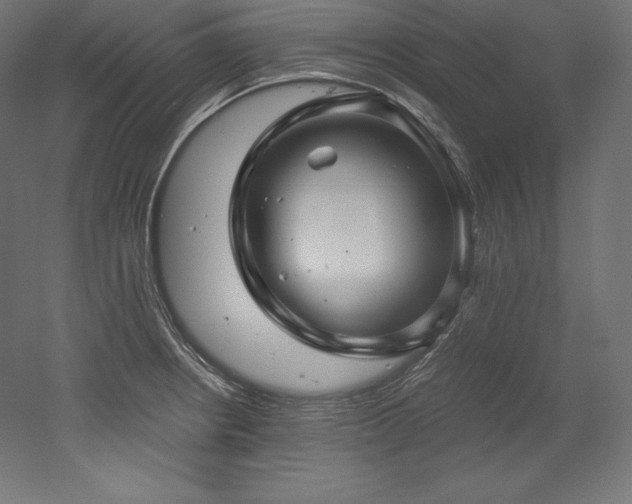 X0000052651234200507011404