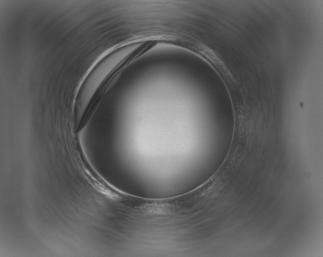 X0000052651236200507011404