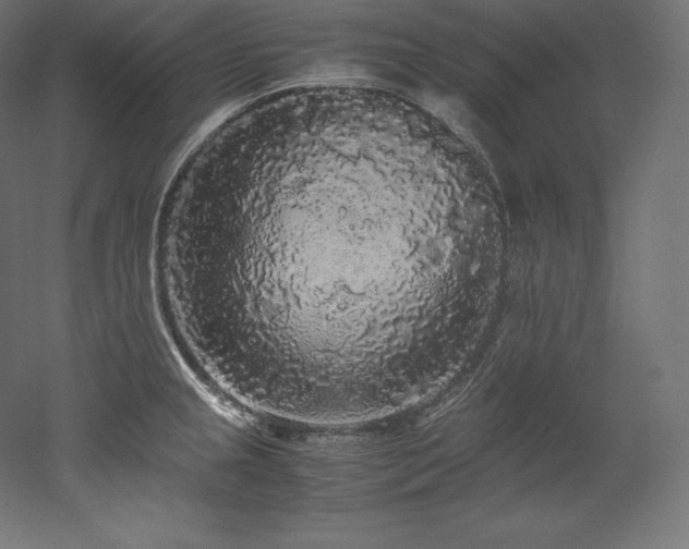X0000052651237200507011404