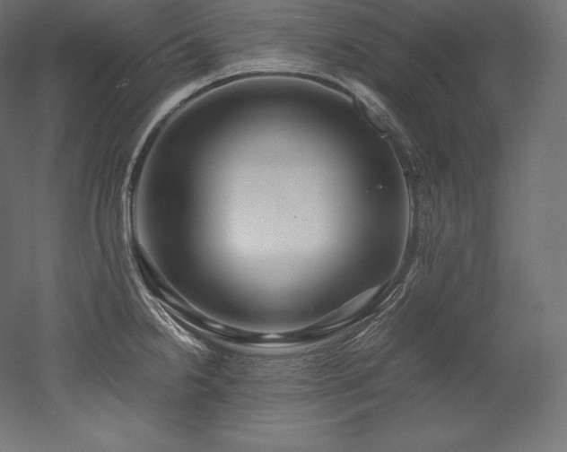 X0000052651238200507011404