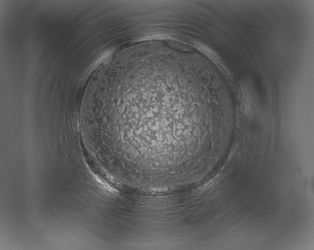 X0000052651241200507011404
