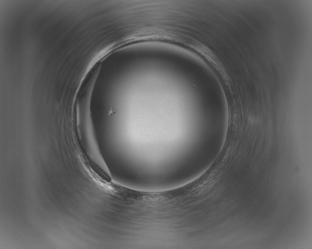 X0000052651242200507011404