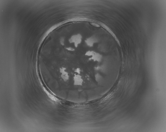 X0000052651245200507011404