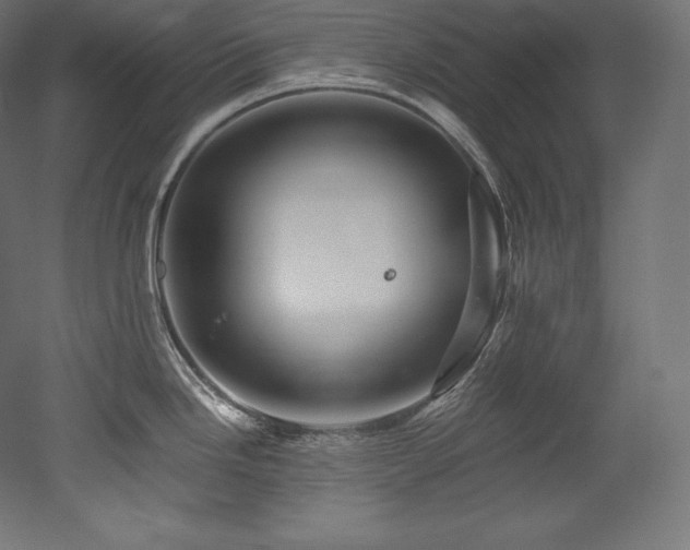 X0000052651246200507011404