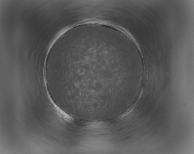 X0000052651247200507011404