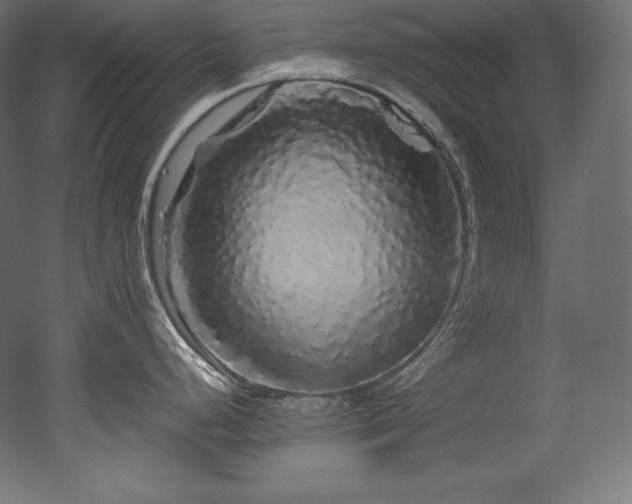 X0000052651248200507011404