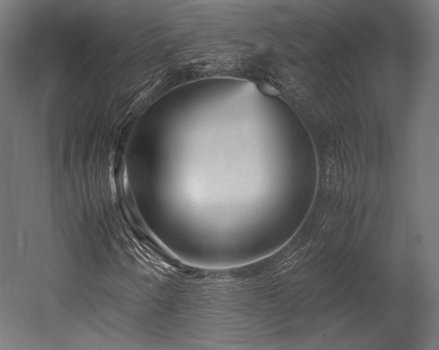 X0000052651250200507011403