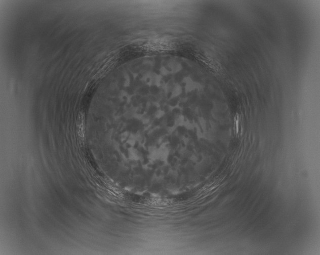 X0000052651251200507011403