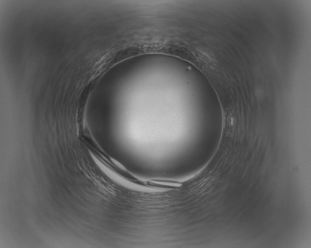 X0000052651252200507011403