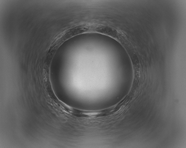 X0000052651253200507011403