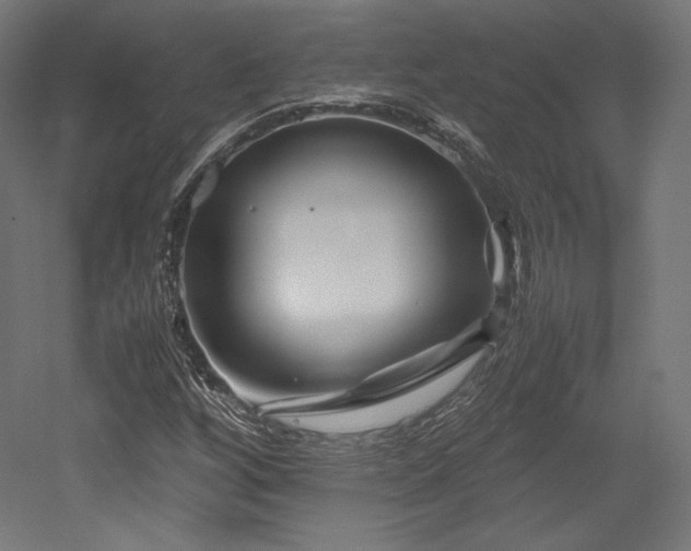 X0000052651256200507011403
