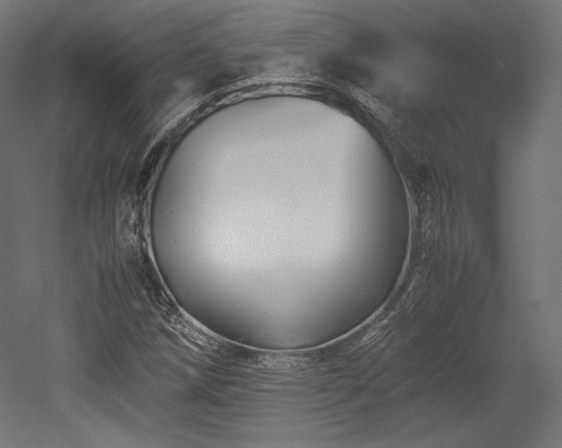 X0000052651258200507011403