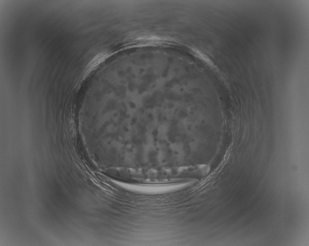 X0000052651259200507011403