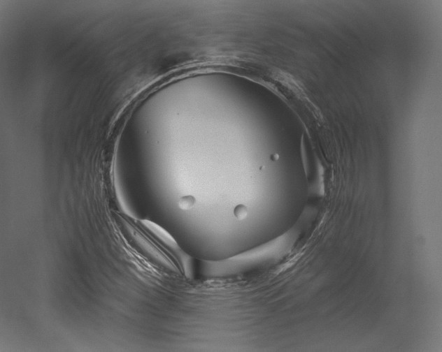 X0000052651260200507011403