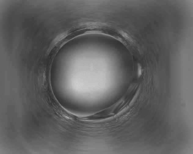 X0000052651261200507011403