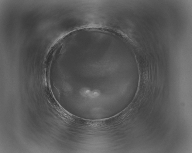 X0000052651262200507011403