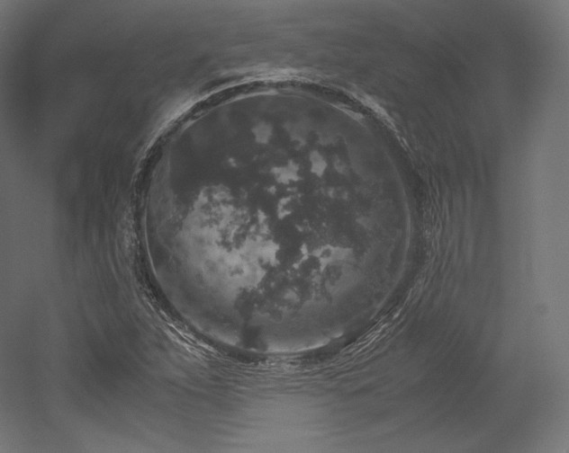 X0000052651263200507011403