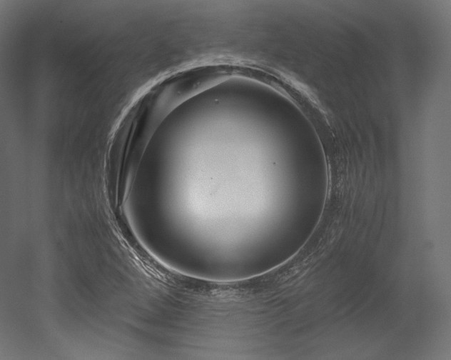 X0000052651264200507011403