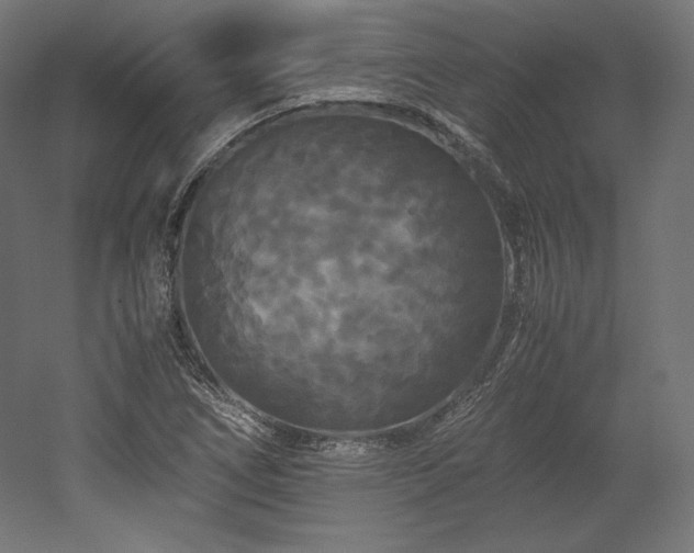 X0000052651266200507011403