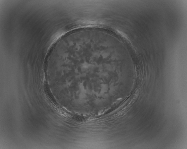 X0000052651267200507011403