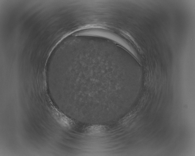 X0000052651268200507011403