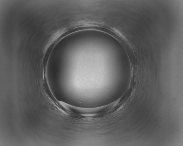X0000052651269200507011403