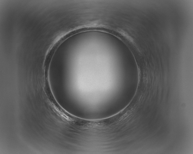 X0000052651270200507011403