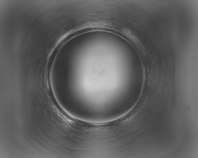 X0000052651272200507011403