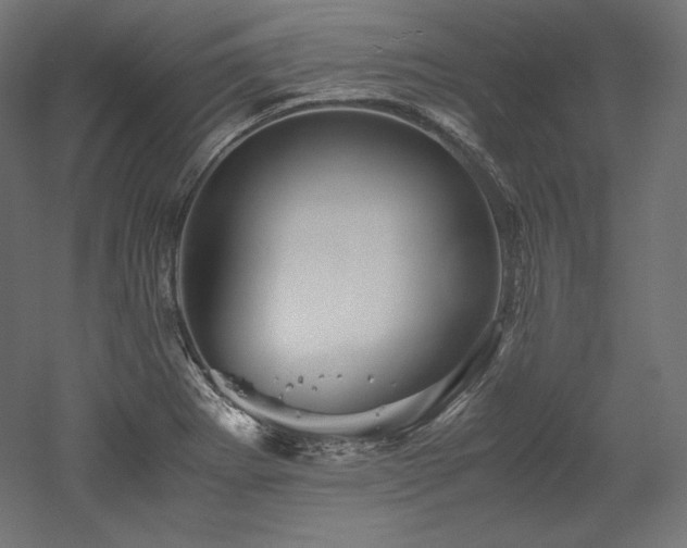 X0000052651273200507011403