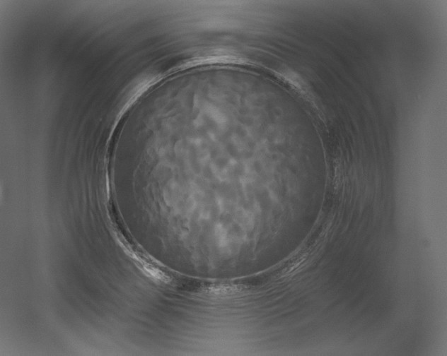X0000052651274200507011403