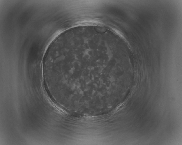 X0000052651275200507011403