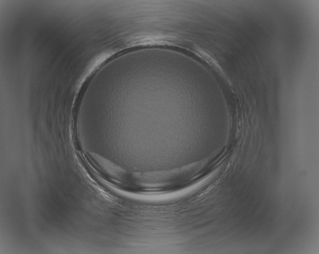 X0000052651277200507011403