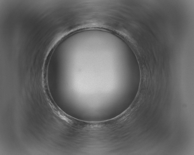 X0000052651278200507011403