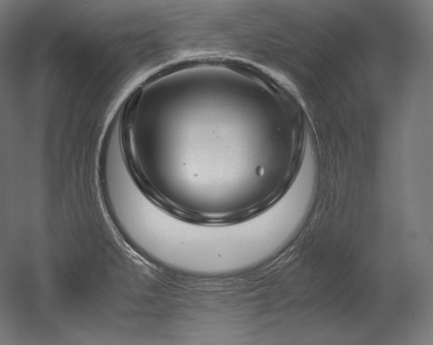 X0000052651279200507011403