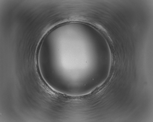X0000052651280200507011403