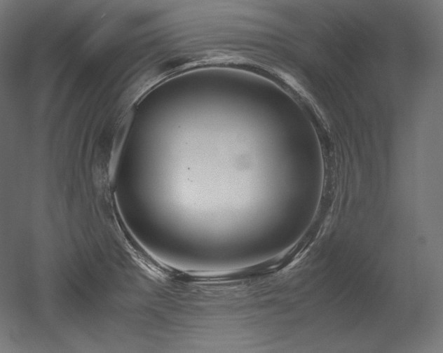 X0000052651281200507011403