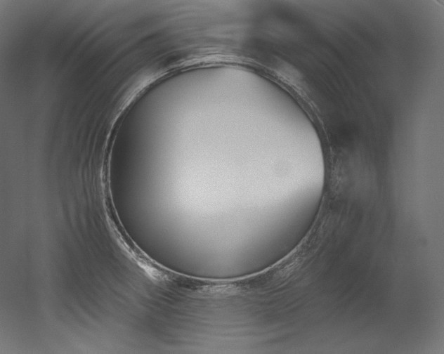 X0000052651282200507011403