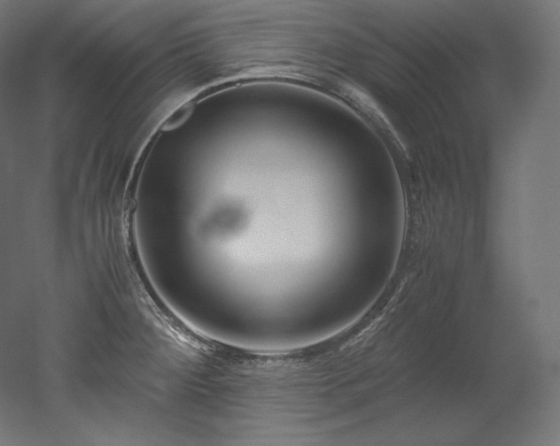 X0000052651284200507011403