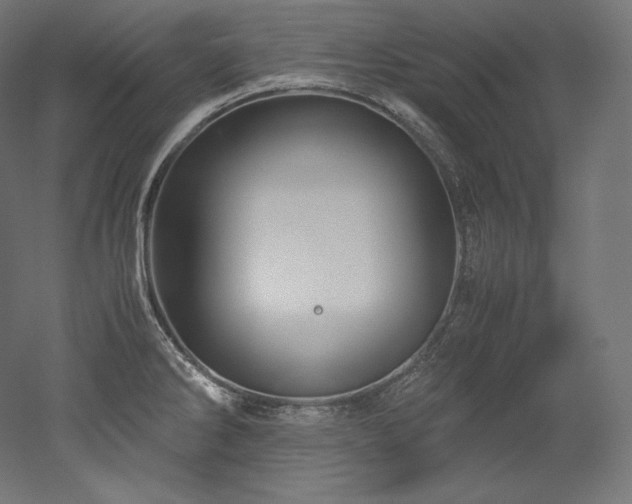 X0000052651286200507011403